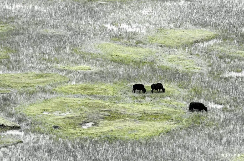 2026 年全年旅行休闲摄影路线/国际旅游摄影网(公众号:52 天地途影)