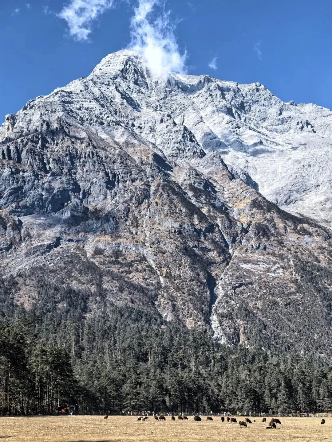 玉龙雪山旅游已回,我真的崩溃了!!!