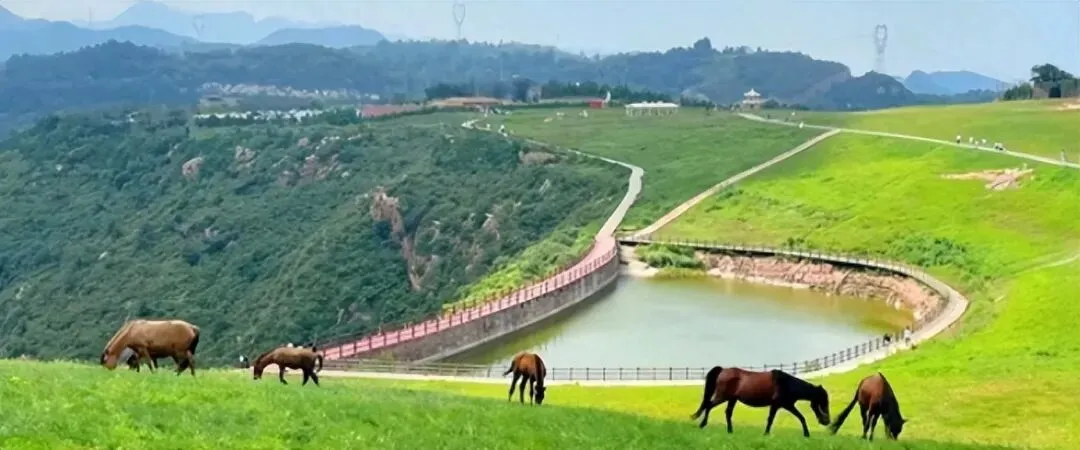 今年春节去哪儿玩?12个优质免票景点供你选择!(8)