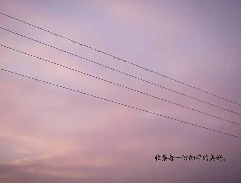 景区爆满却找不到厕所?游客:今年春节体验感降到冰点