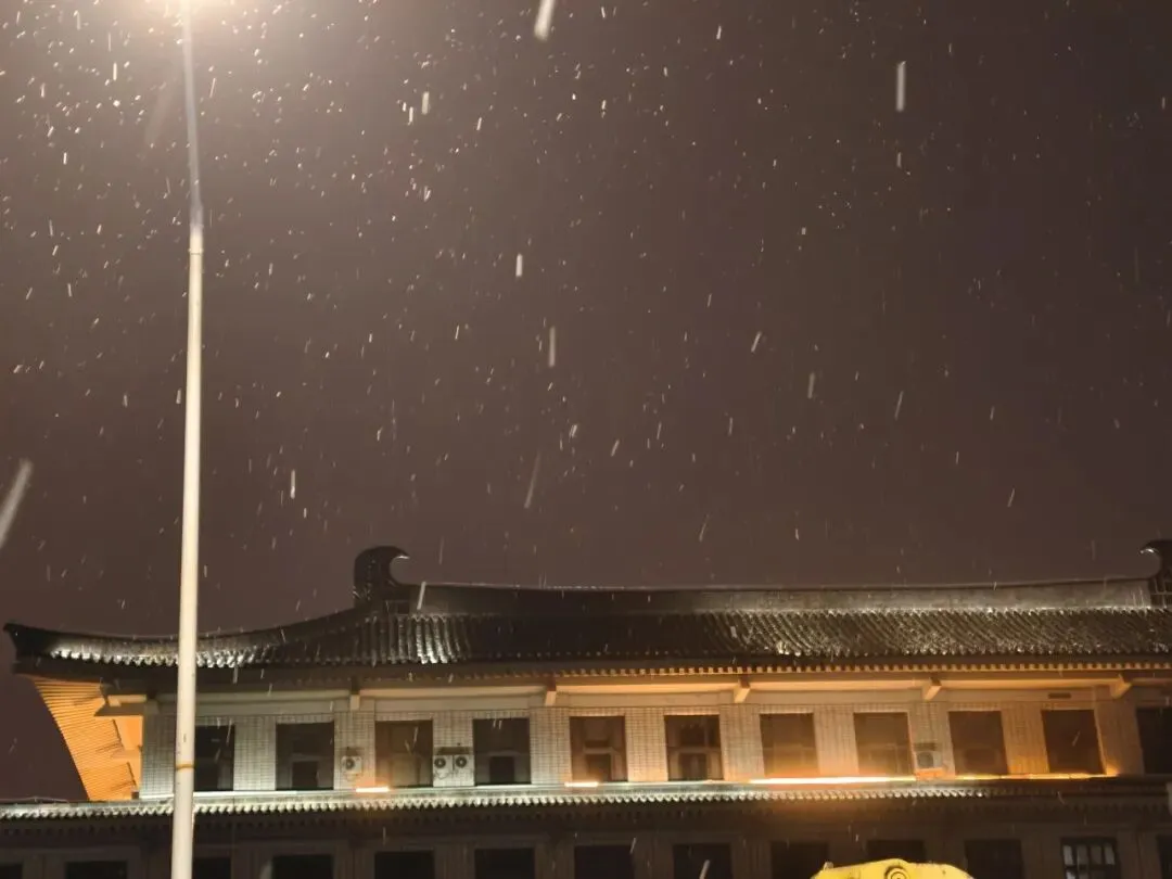 2026-02 | 西安,是旅游还是度假