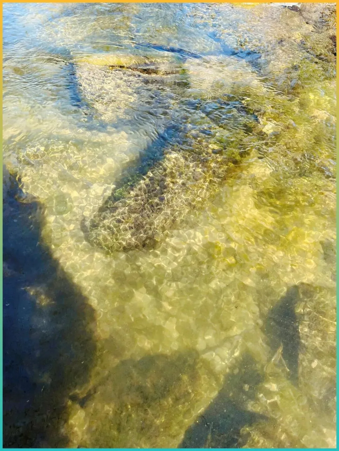 中国这6个“生态天堂”的景点,去过3个不简单,去过5个就太惬意了