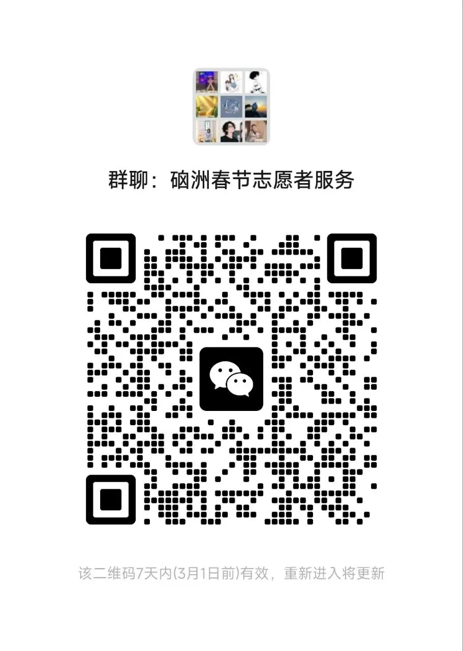 硇洲春节旅游志愿者服务