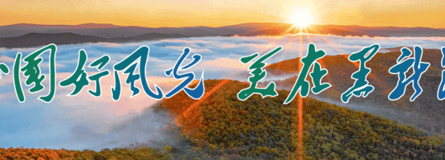 黑龙江省文化和旅游厅、黑龙江省公安厅、黑龙江省交通运输厅、黑龙江省气象局联合发布春节假期返程路况与出行安全提示