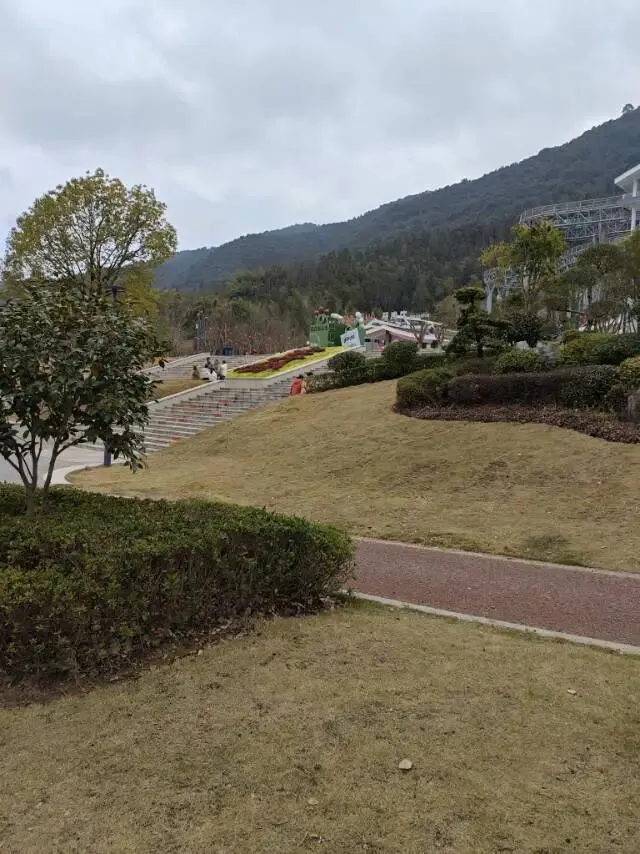 冬松有感:给喜欢旅游的家人们的一封信