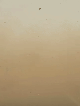 关窗!关窗!多个航班延误,众多景区关闭!已影响辽宁,今年以来最大范围,强度最强