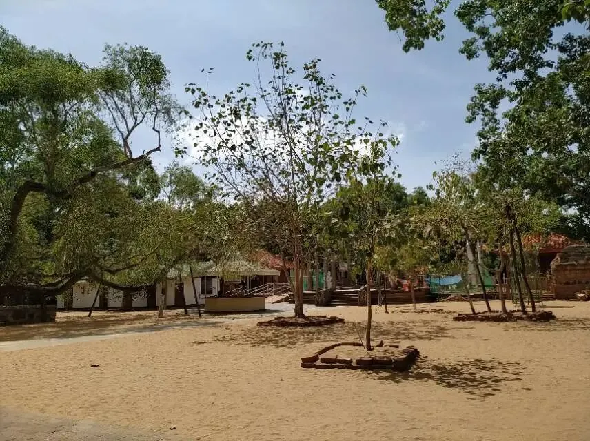 我建议你退休后别旅游