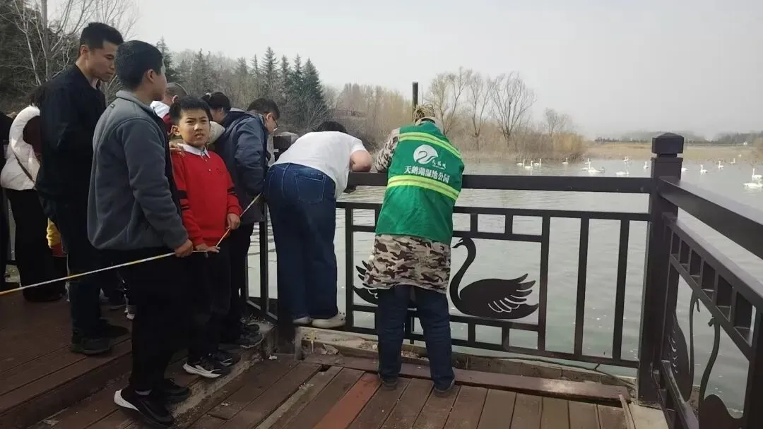 游客手机掉落天鹅湖 景区人员迅速打捞获赞