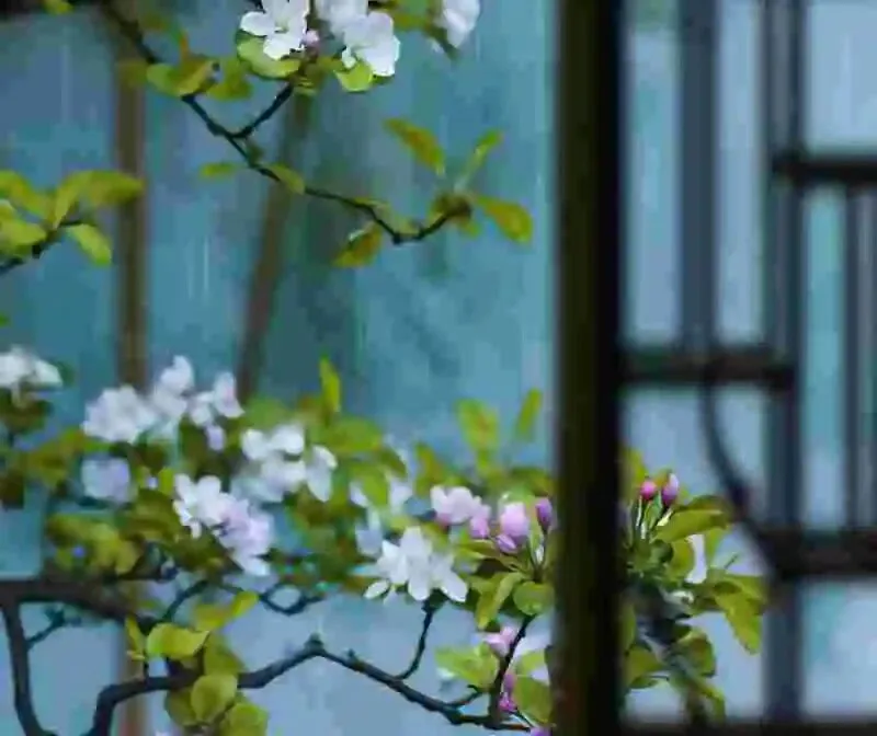 60岁前,一定要去的中国这3个5A景区,去过1个便觉这趟人生更圆满