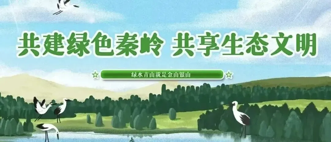 秦岭生态旅游线路 | 赏杜鹃花海,探小众幽谷,解锁春日限定美好