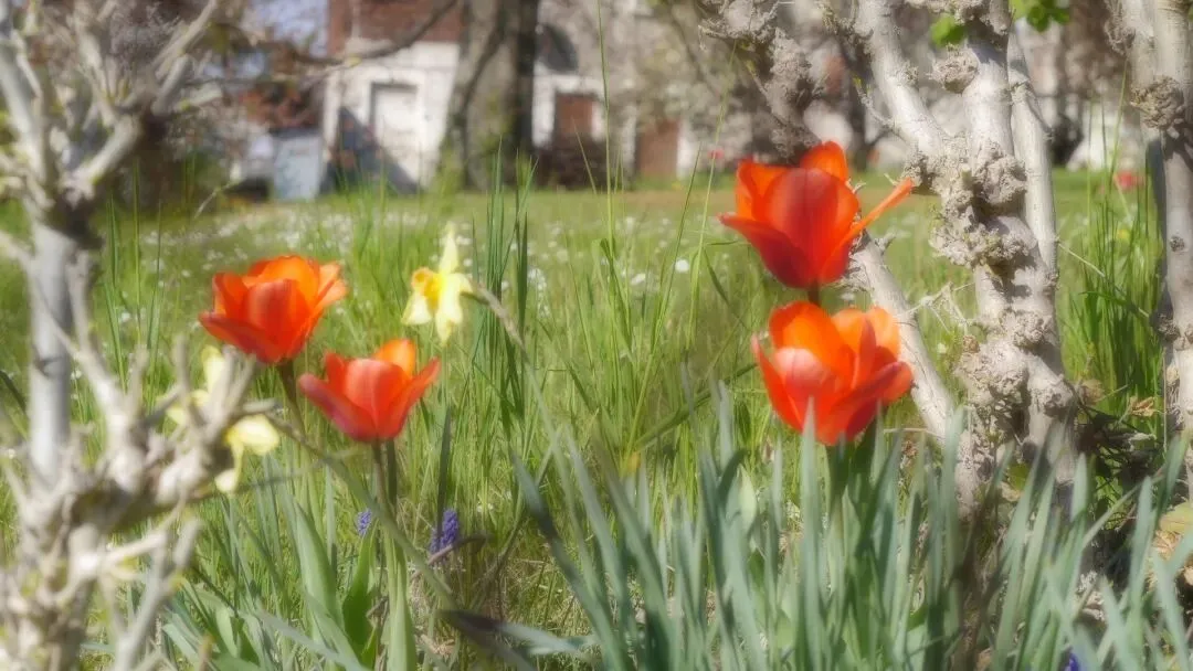 女儿37岁被裁员,裁了之后她就跑出去旅游了.叫她今年过完年重新去找工作,她说已经躺平、回不去了!