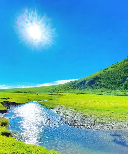 内蒙古通辽扎鲁特旗必去十大旅游景点,草原天路全在这里!