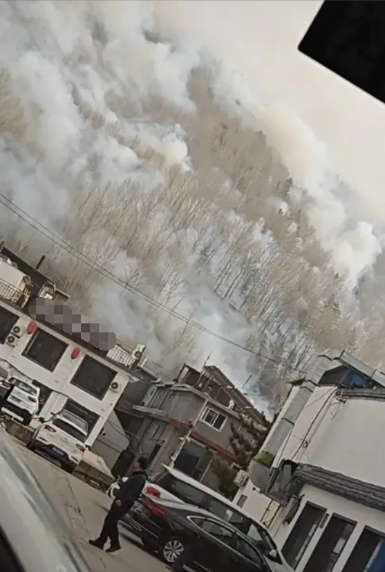 景区火情原因披露!史某某被行拘!