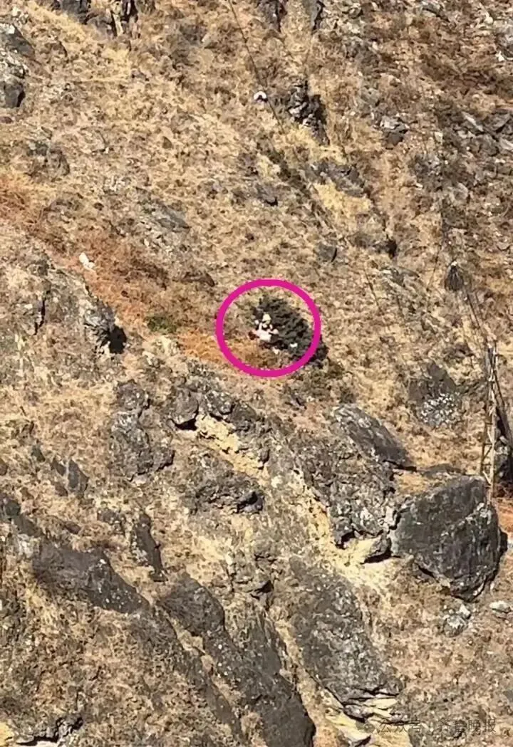 8岁男童大年初五坠崖不幸遇难!虎跳峡景区:事发地属未开放区域