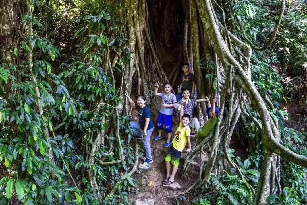 *雨林与户外:勐腊县旅游的核心竞争力!