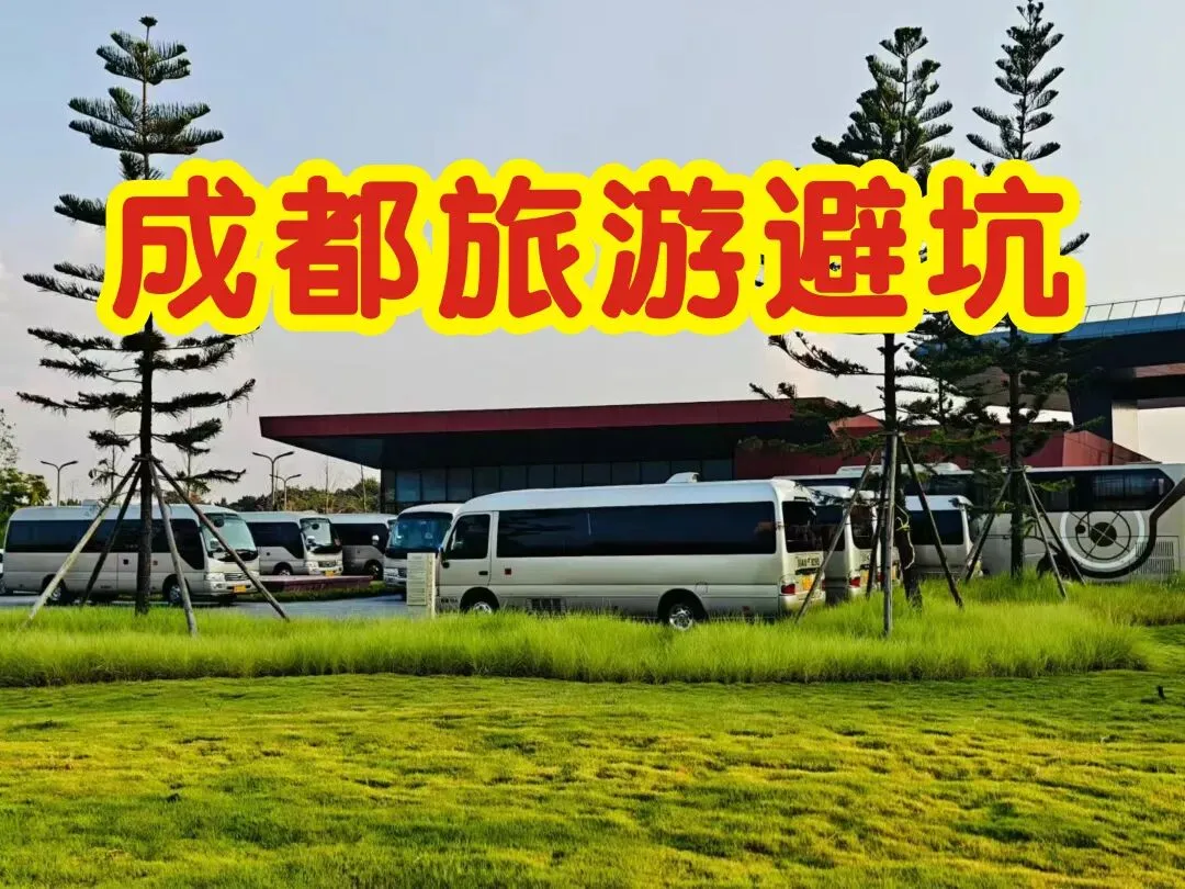成都旅游避坑:第一次来千万别租车自驾!听劝,省时间、省钱、少受罪