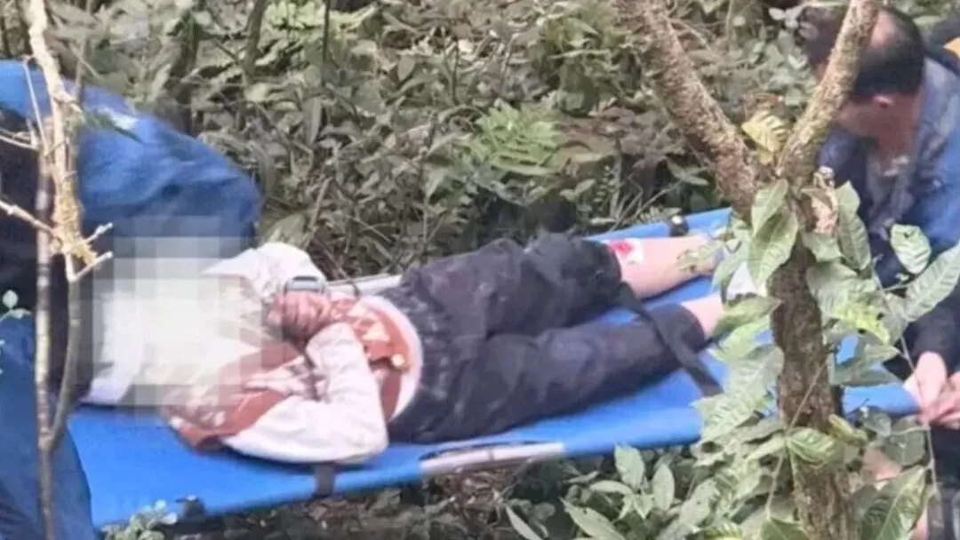 10岁男孩在景区不慎坠崖 官方通报