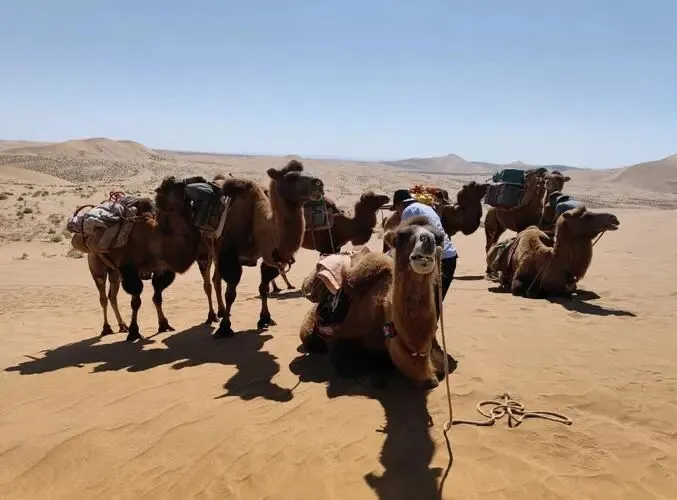 甘肃巴丹吉林沙漠把全国景区的饭碗给砸了