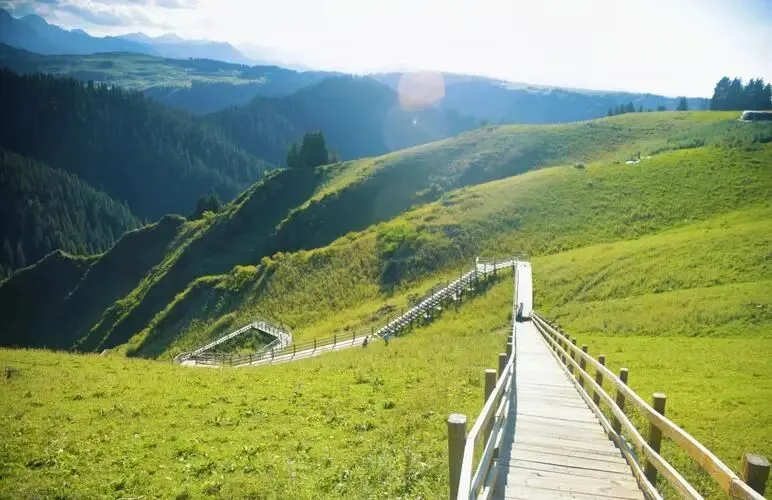 新疆江布拉克把全国景区的饭碗给砸了