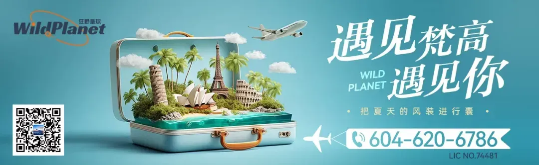 [利好]中国游客回来了!高消费带火大温旅游!