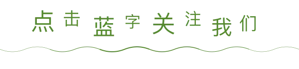旅游界的胖东来,为何被全国人民报复性消费?
