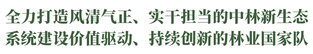 喜获长三角认证!中林·商量岗旅游度假区荣获2025年度长三角地区精品体育目的地