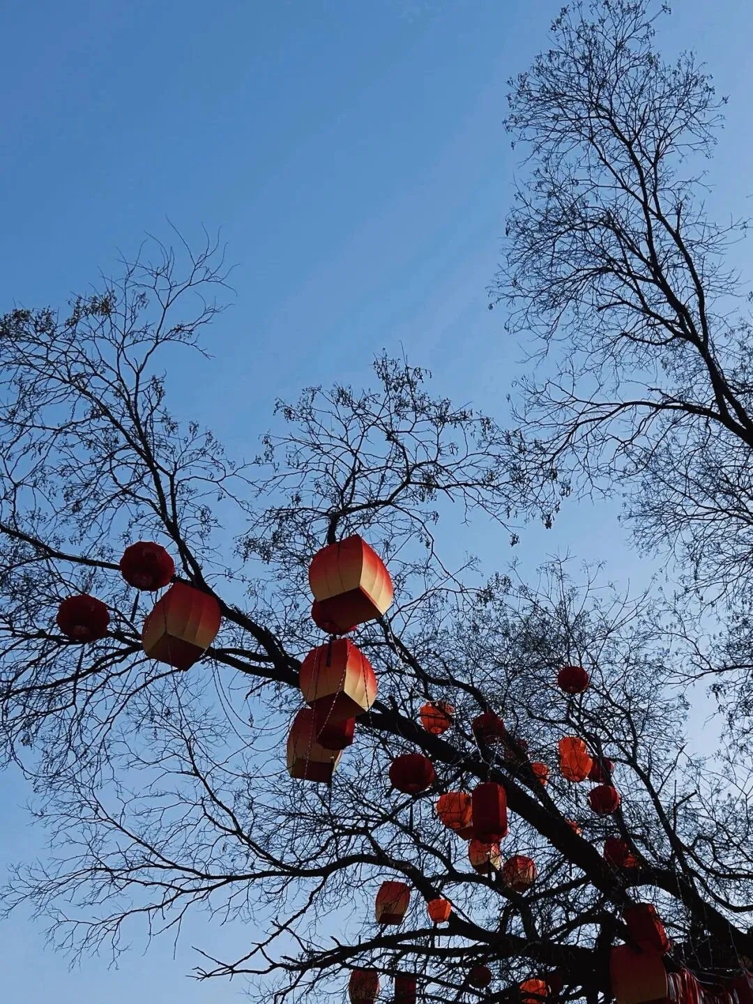 旅行不是景点好看不好看