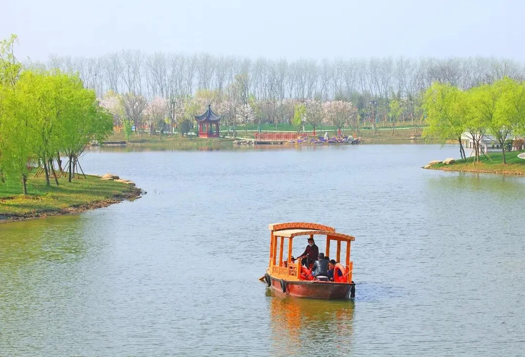 盐城大洋湾生态旅游景区樱花园(二十)