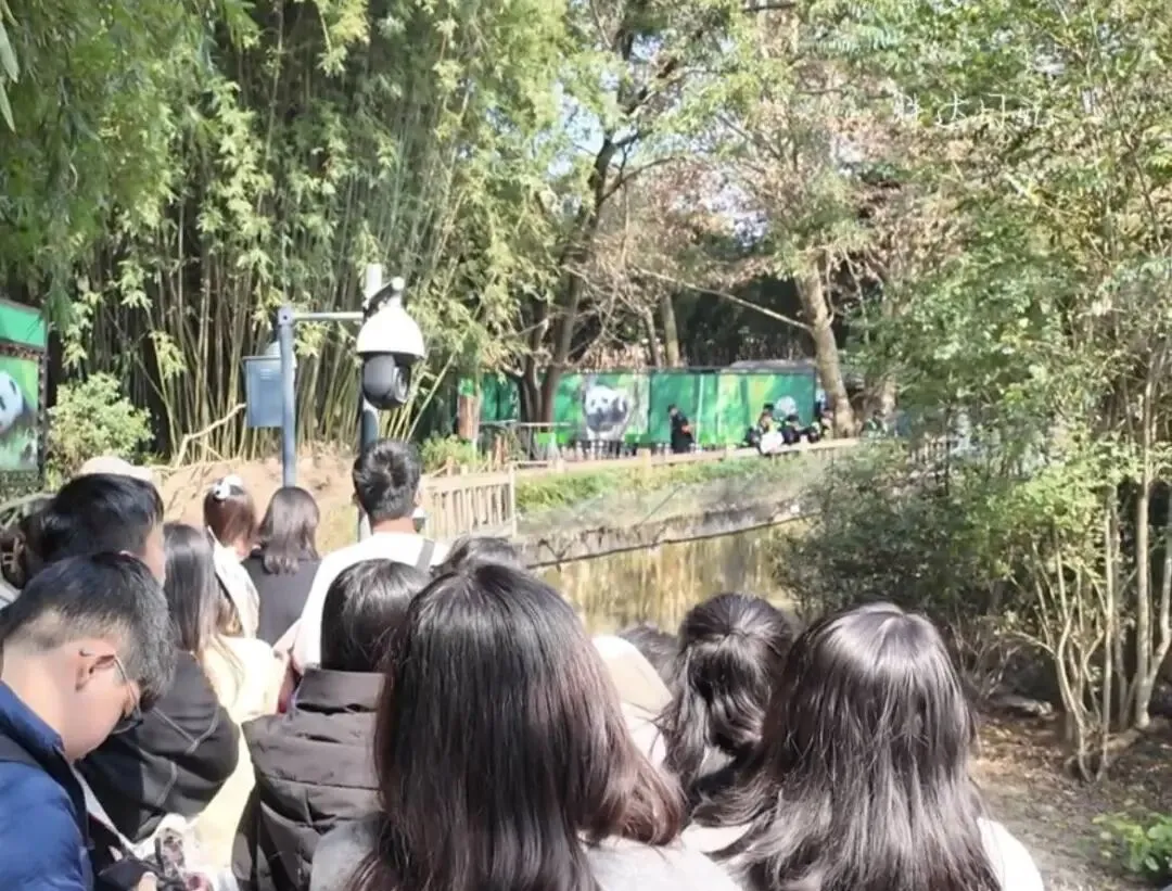 【春节安全提示】景区打卡,这些攻略你得“码”住