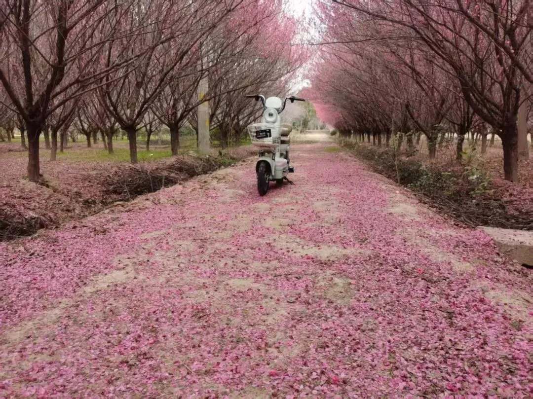 六合灵岩有一处免费的小众景点,让人流连忘返,赶紧去网红地打卡|赵启杰