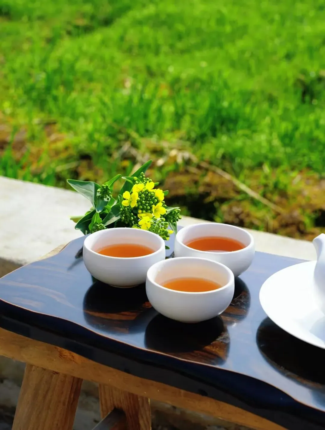 比起旅游打卡,春节我读懂了长辈的 “唠叨”