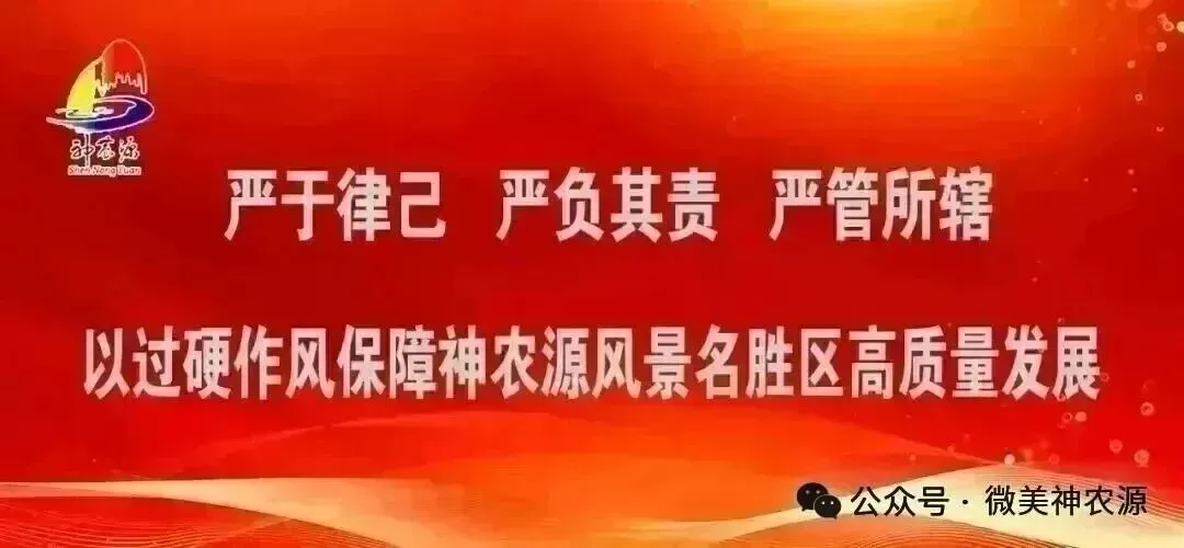 神农源景区:春节假期圆满收官 马年旅游开门红