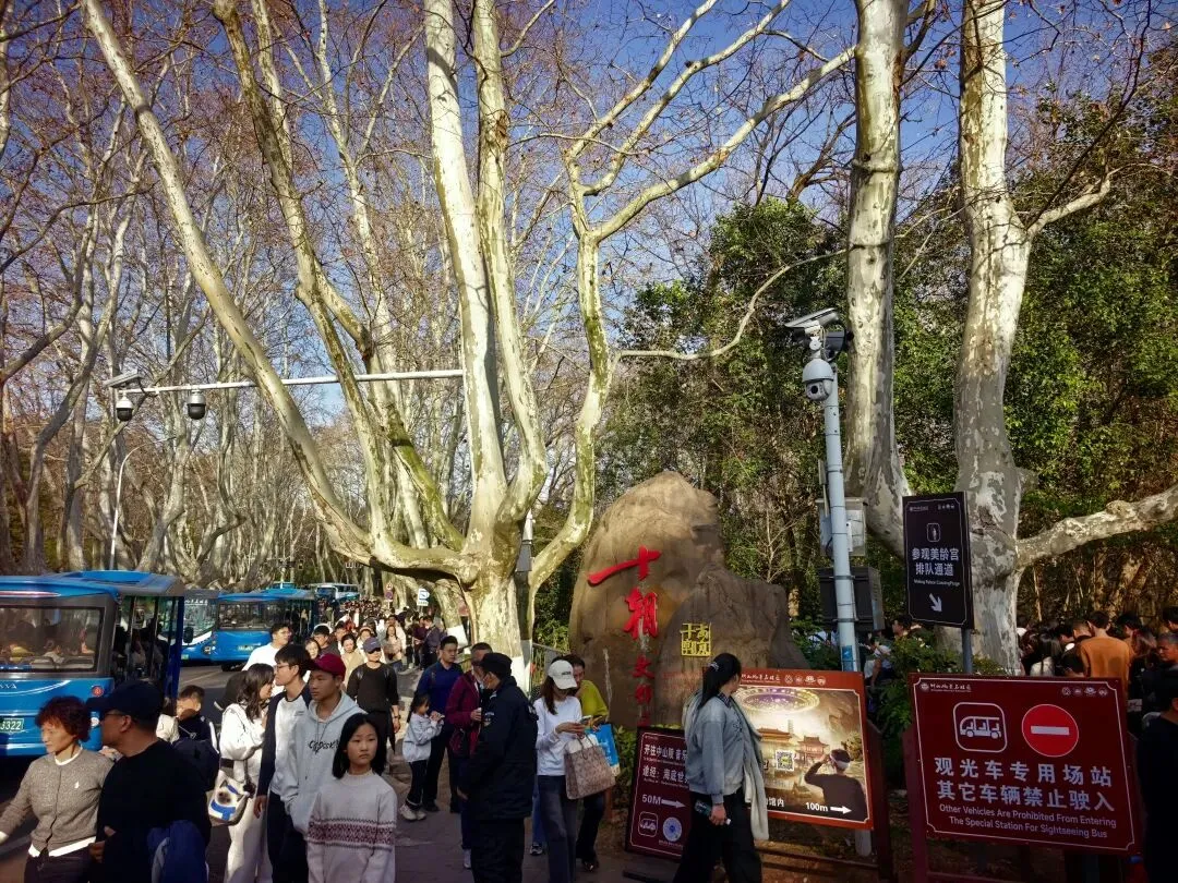 景区拒绝节后空档期,研学实践教育活动来增流!