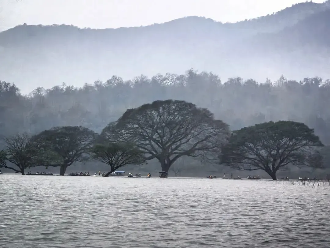 这景点放国内,还不收个七八十?