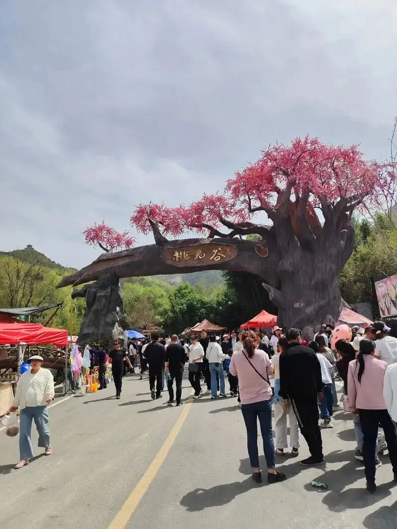 丹凤桃花谷:4A景区首个春节人气爆棚