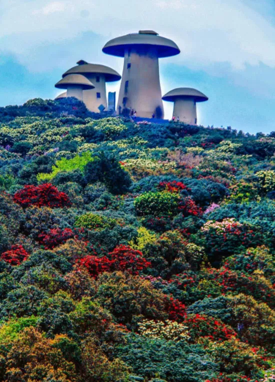 vol.88·云南·曲靖·师宗县十大旅游景点