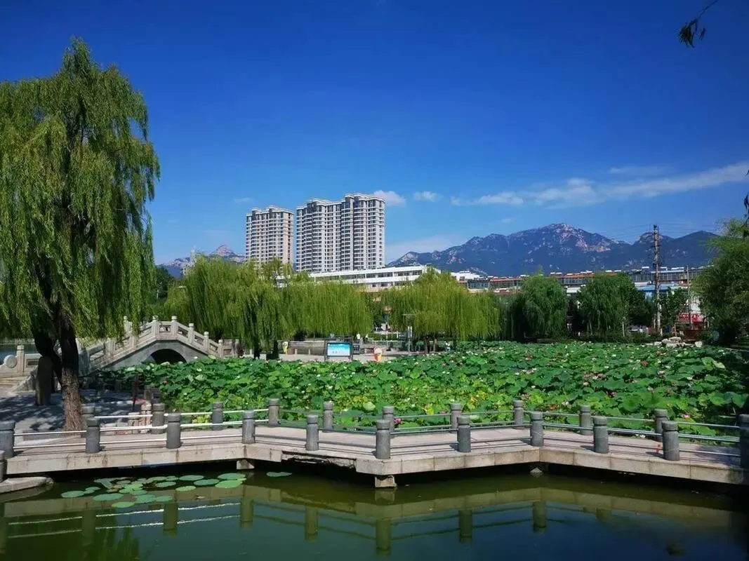 山东泰安市把全国景区的饭碗给砸了