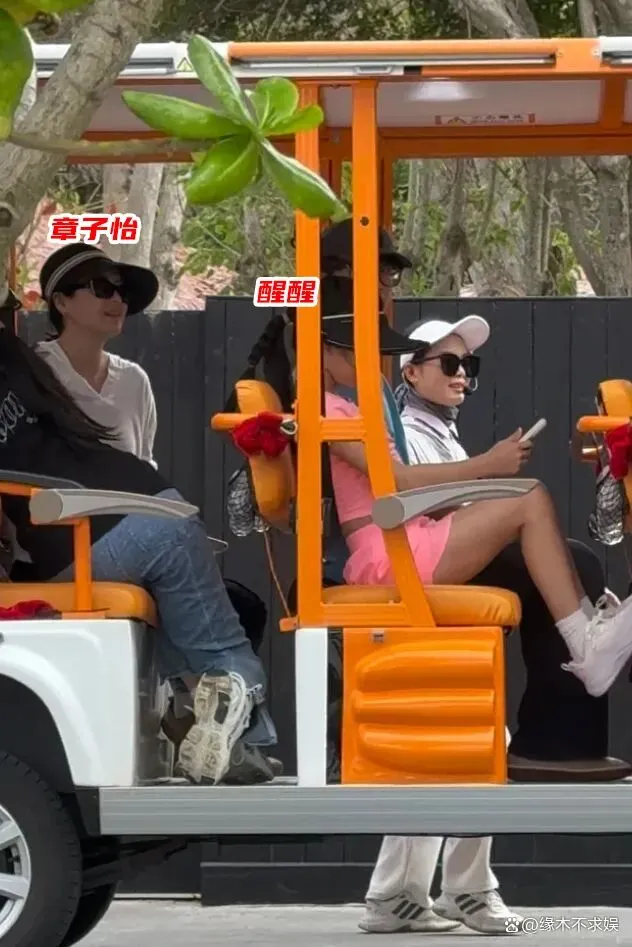 章子怡一家十几口旅游,醒醒穿粉裙好显黑,侄子高大帅气撞脸王一博!