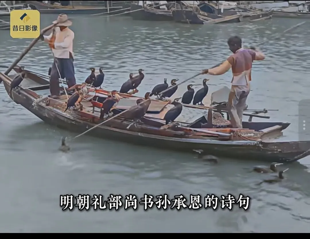 学习马伯庸记日记22-25:春节港珠澳旅游