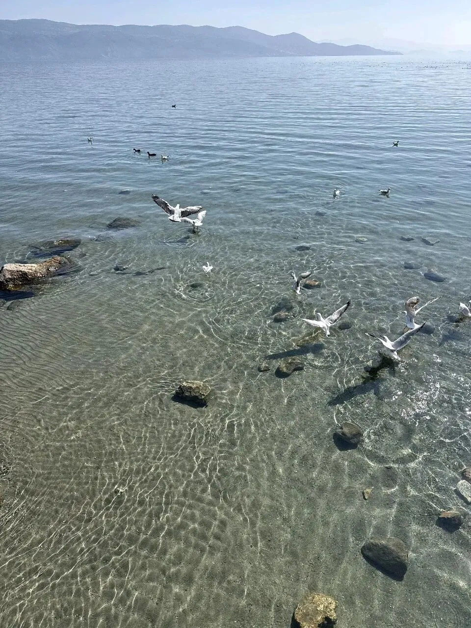 记录云南旅游美景