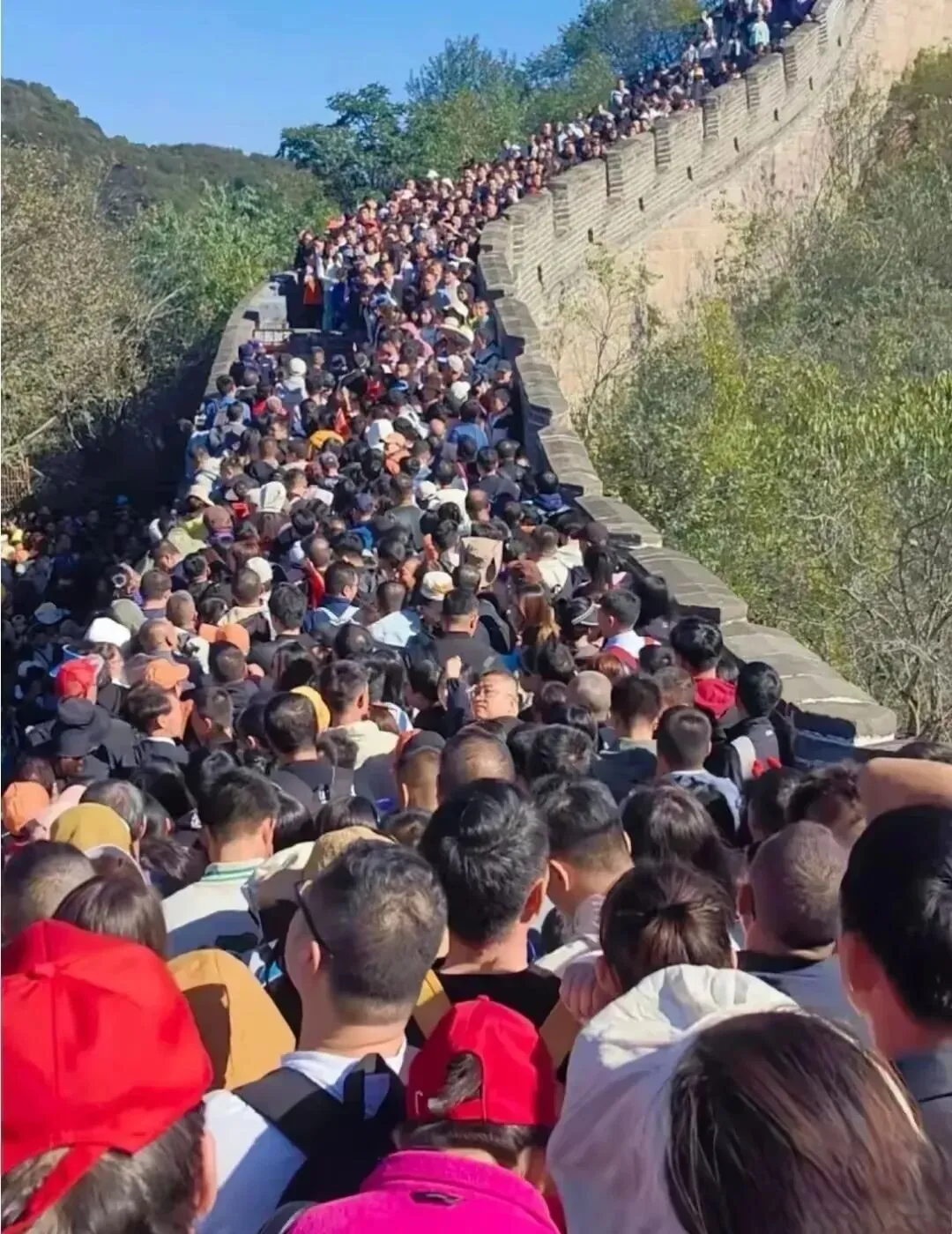 和父母一起外出旅游到底有多崩溃?