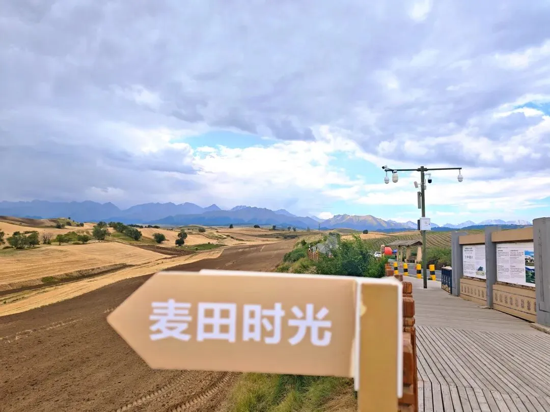 新疆行——奇台江布拉克景区