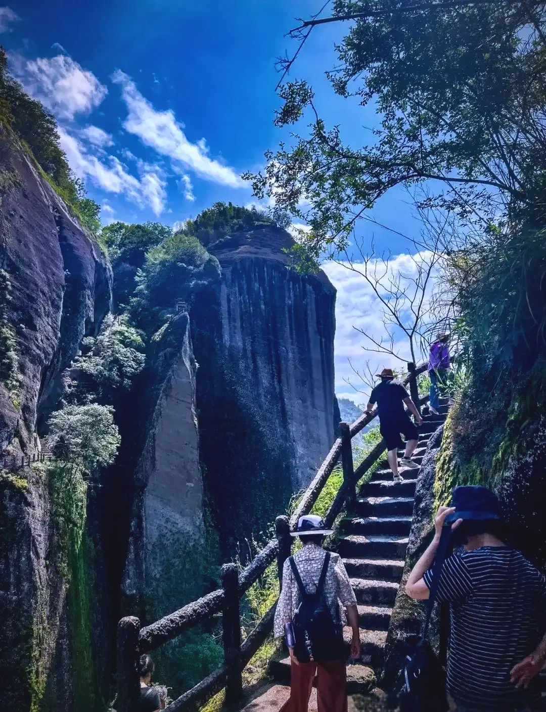 武夷山风景名胜区免门票了!