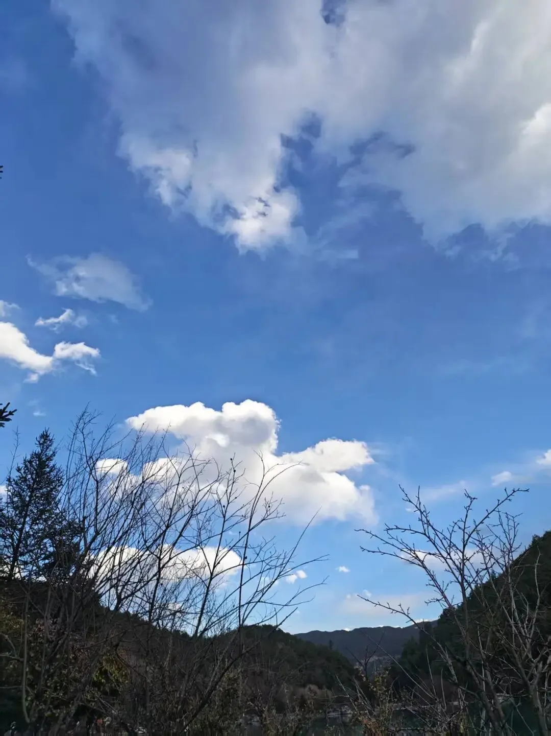 出门旅游,是跟团游还是自由行?你选哪一个?