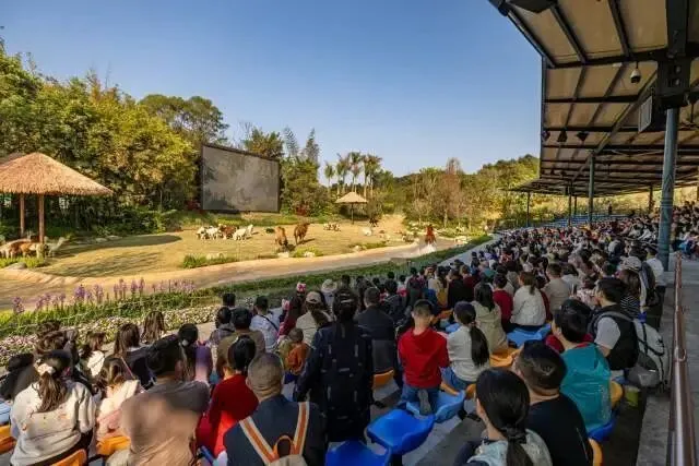 广东春节旅游收入再创新高