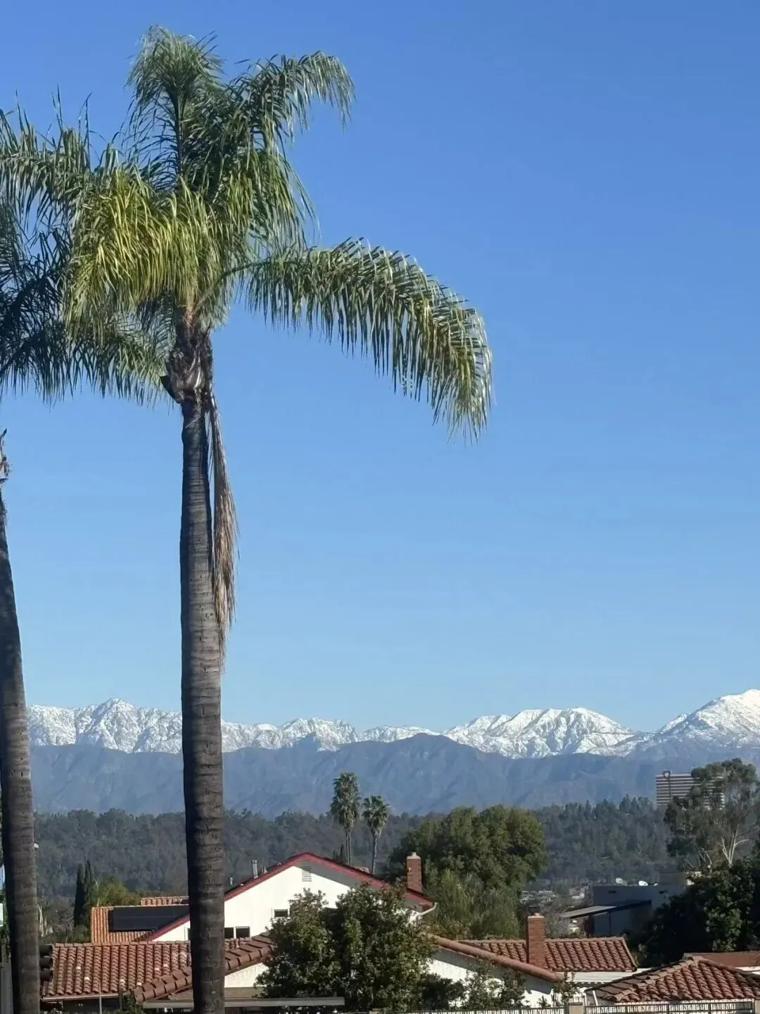 60岁以后最好的活法:旅居是福,旅游是坑