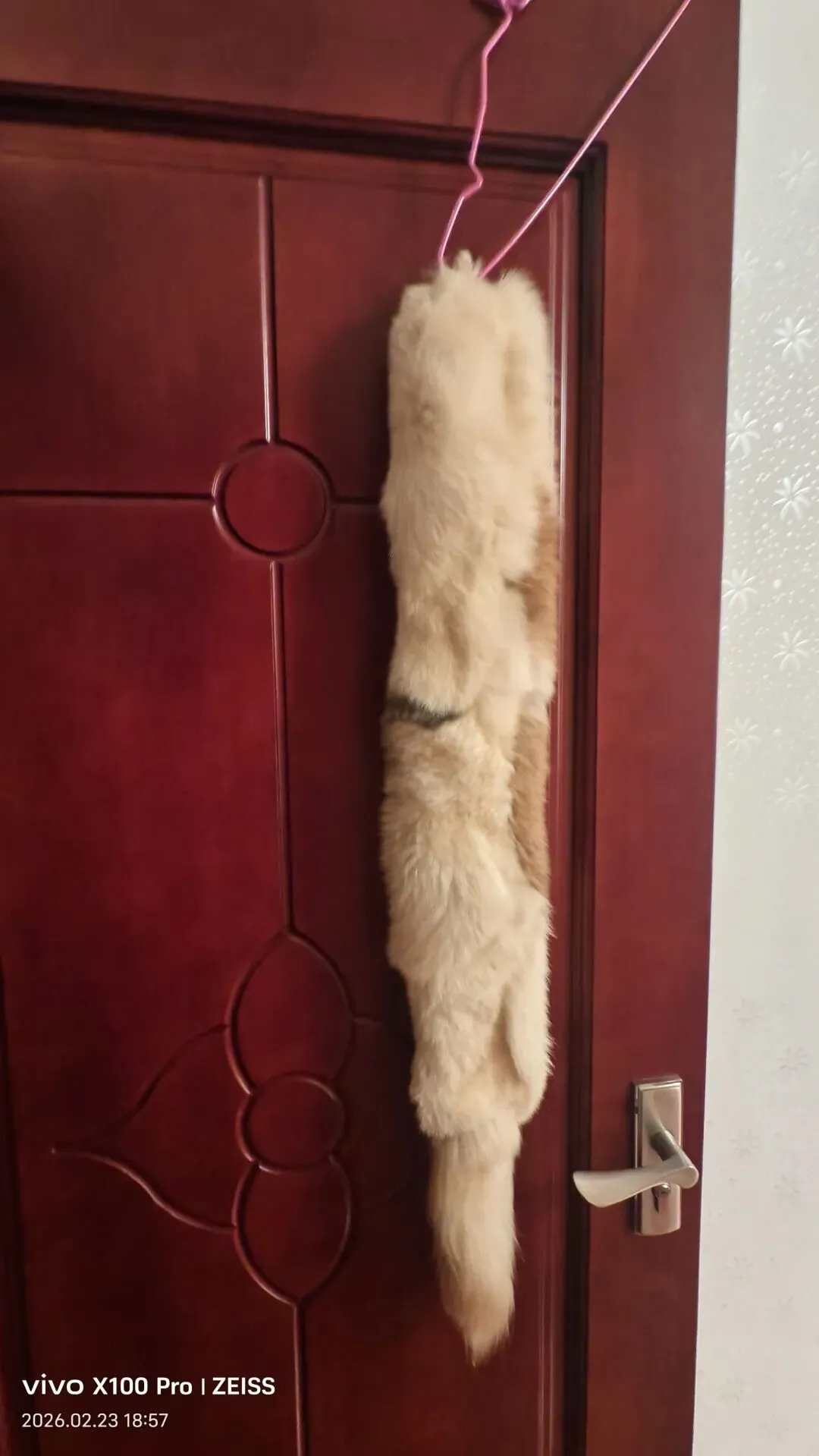 看看这位阿姨这几年外出旅游购的货,肠子都悔青了