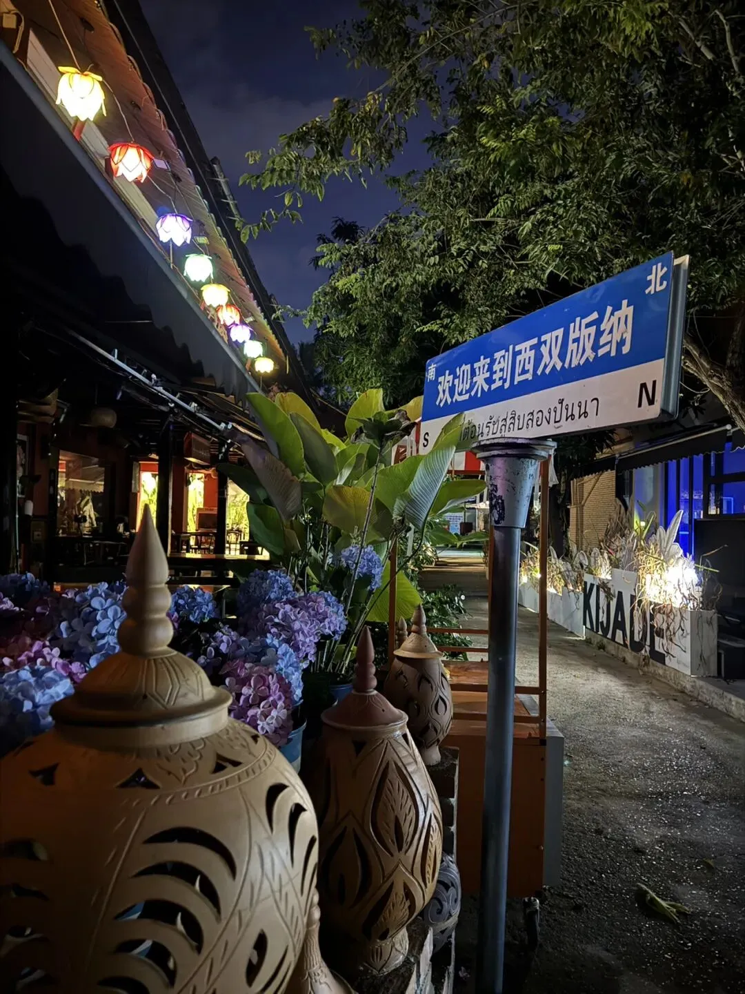 云南 西双版纳 旅游攻略