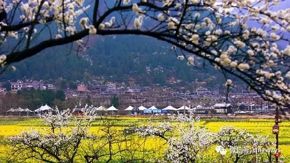 贵定县推动现代休闲农业与乡村旅游融合发展