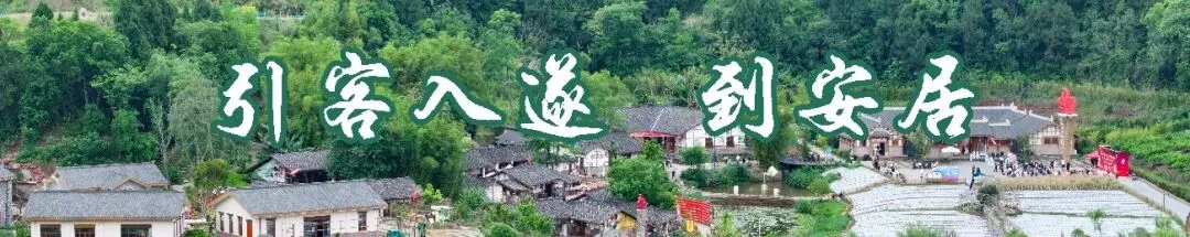 58.4万人次!安居春节A级景区人气拉满